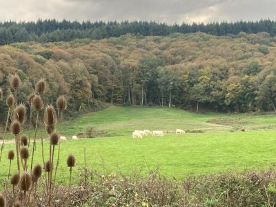 Holiday house Apartment in Cuzy with Heated Pool - Environment photo 30