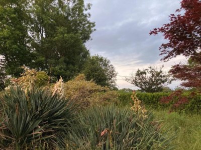 Holiday house Apartment in Cuzy with Heated Pool - Environment photo 31