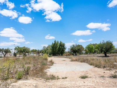 Villa Sunny Villa with Private Pool - Environment photo 34