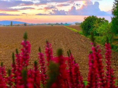 Holiday house Wohnung in Umbrien mit Pool und Sauna - Environment photo 16