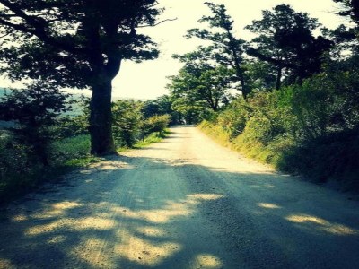 Holiday house Wohnung in Umbrien mit Pool und Sauna - Environment photo 25