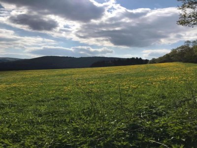 Holiday house Ferienhaus mit Sauna in Winterberg - Environment photo 29