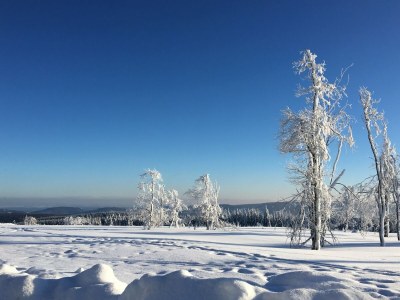 Holiday house Ferienhaus mit Sauna in Winterberg - Environment photo 31