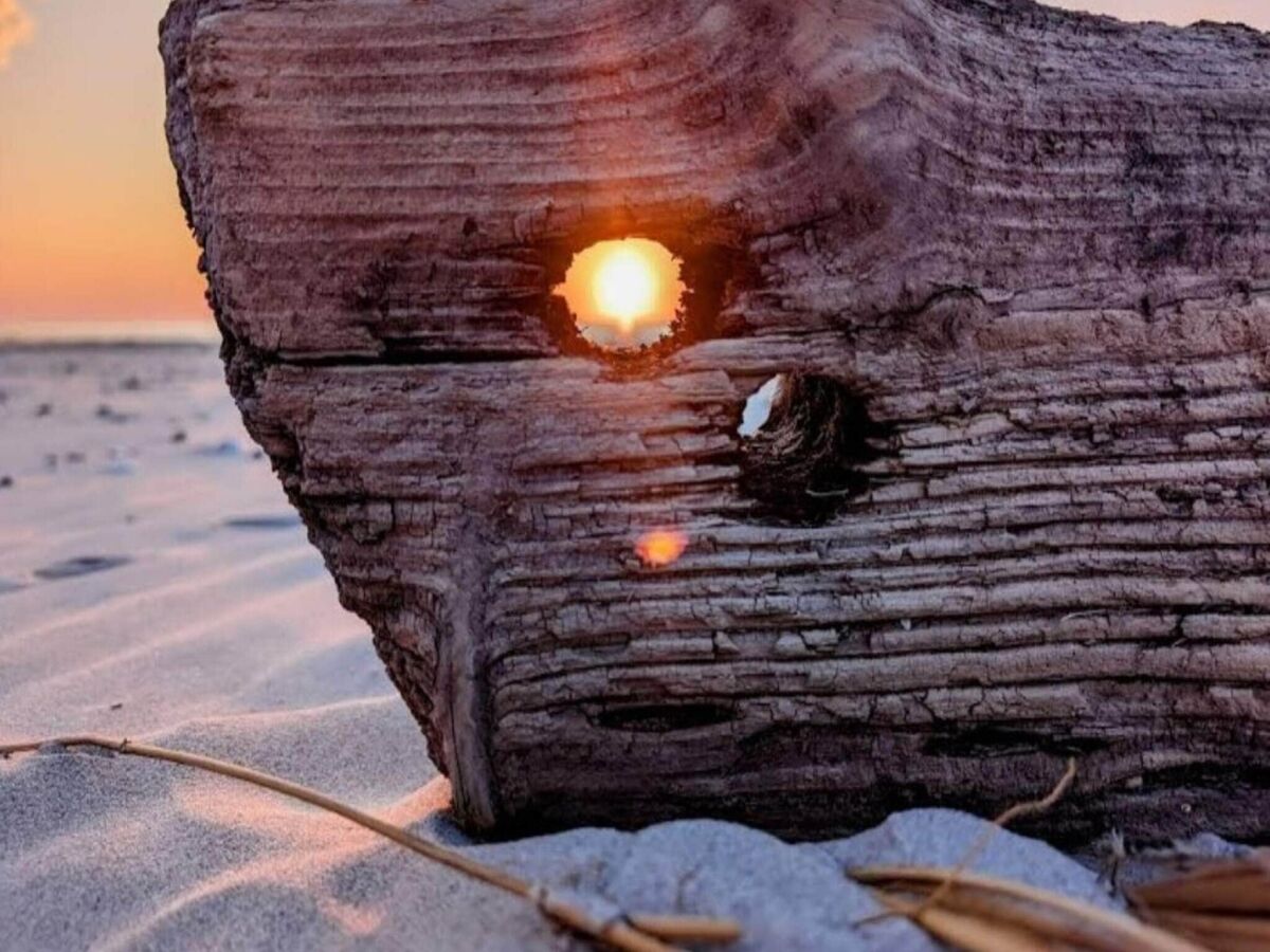 Holiday house 10 Personen Ferienhaus in Saltum-By Traum - Outdoor photo 2