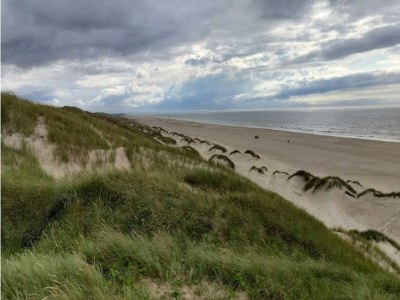 Holiday house 10 Personen Ferienhaus in Saltum-By Traum - Outdoor photo 4