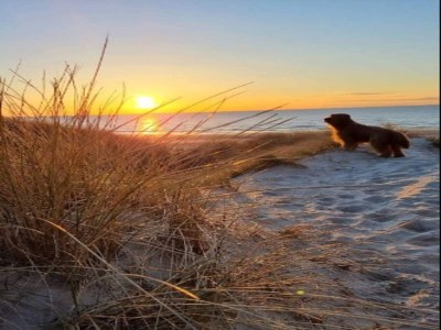 Holiday house 10 Personen Ferienhaus in Saltum-By Traum - Outdoor photo 8