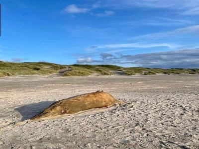 Holiday house 10 Personen Ferienhaus in Saltum-By Traum - Outdoor photo 9