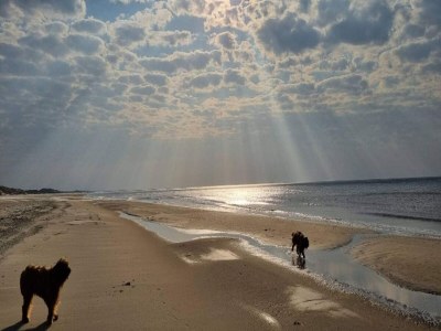 Holiday house 10 Personen Ferienhaus in Saltum-By Traum - Outdoor photo 11