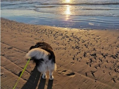 Holiday house 10 Personen Ferienhaus in Saltum-By Traum - Outdoor photo 15