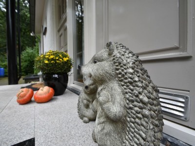 Holiday house Holiday Home in Holten near Holterberg - Outdoor photo 31