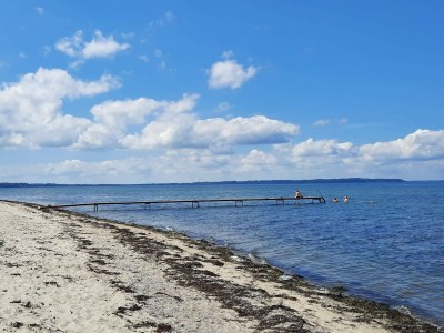 Holiday house 18 Personen Ferienhaus in Bogense - Outdoor photo 8