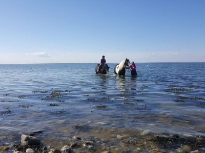 Holiday house 18 Personen Ferienhaus in Bogense - Outdoor photo 27