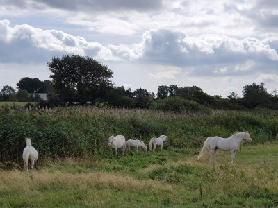Holiday house 6 person holiday home in Nordborg-By Traum - Outdoor photo 26