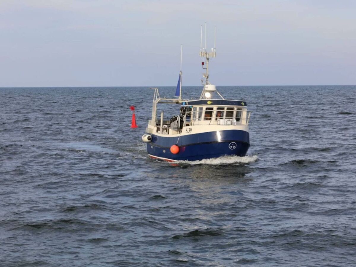 Holiday house 4 Personen Ferienhaus in Hadsund-By Traum - Outdoor photo 4