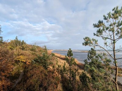 Holiday house 4 Personen Ferienhaus in Hadsund-By Traum - Outdoor photo 16