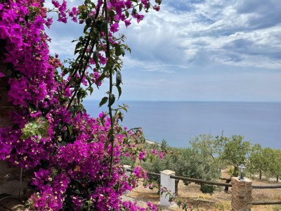 Holiday house Villa near Adra with Sea and Mountain Views - Outdoor photo 12