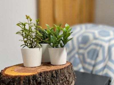 Holiday house Villa near Adra with Sea and Mountain Views - Outdoor photo 40