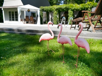 Holiday house Villa im Drents-Wald mit Pool für 6 Von Belvilla - Outdoor photo 3