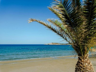 Apartment Ferienhaus auf Bali mit Zugang zum Strand - Environment photo 31