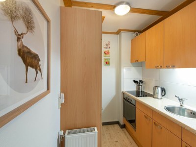 Apartment Apartment in Auffach-Wildschönau in Tirol - Features photo 7