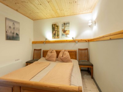 Apartment Apartment in Auffach-Wildschönau in Tirol - Features photo 15