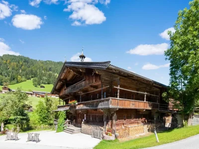 Apartment Apartment in Auffach-Wildschönau in Tirol - Environment photo 17