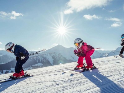 Apartment Apartment in Auffach-Wildschönau in Tirol - Environment photo 30
