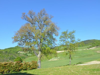 Apartment Belvilla by OYO Borgata Porpora Due - Outdoor photo 7