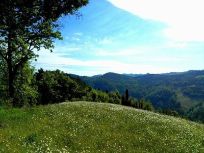 Apartment Belvilla by OYO Borgata Porpora Due - Environment photo 21