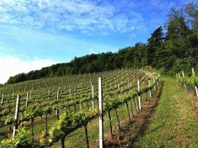 Apartment Belvilla by OYO Borgata Porpora Due - Outdoor photo 26