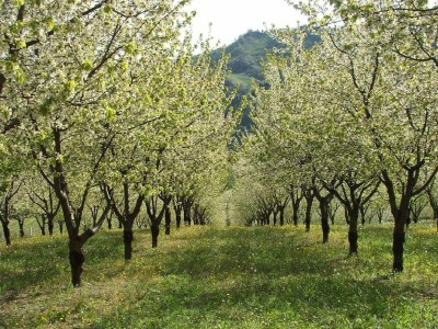 Apartment Belvilla by OYO Borgata Porpora Due - Outdoor photo 27