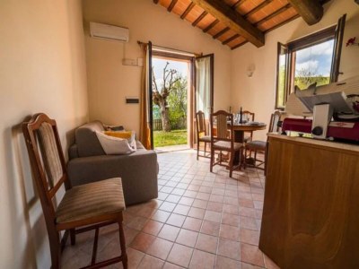 Apartment Holiday Home in Urbania with Garden BBQ - Features photo 8