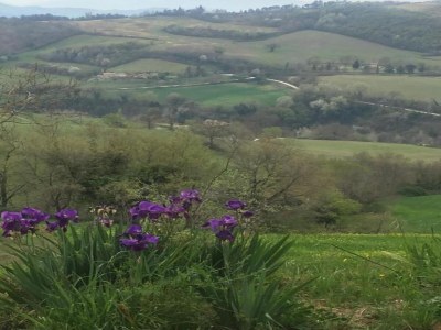 Apartment Holiday Home in Urbania with Garden BBQ - Environment photo 12