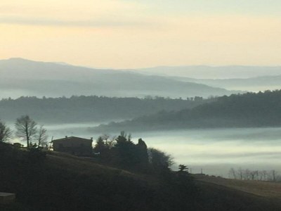 Apartment Holiday Home in Urbania with Garden BBQ - Environment photo 13