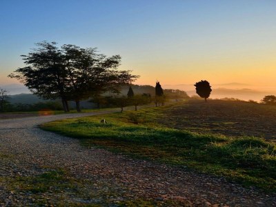 Apartment Holiday Home in Urbania with Garden BBQ - Environment photo 14