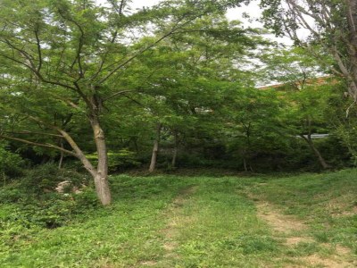 Apartment Holiday Home in Urbania with Garden BBQ - Environment photo 18