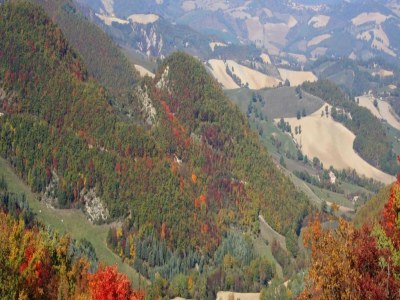 Apartment Holiday Home in Urbania with Garden BBQ - Environment photo 20