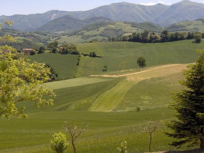 Apartment Holiday Home in Urbania with Garden BBQ - Environment photo 22