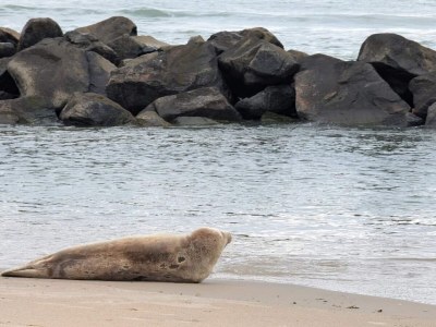 Holiday house 4 Personen Ferienhaus in Hjørring-By Traum - Outdoor photo 4