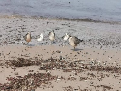 Holiday house 4 Personen Ferienhaus in Hjørring-By Traum - Outdoor photo 38