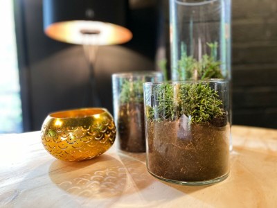 Holiday house Holiday Home Rheezerveen with Sauna & Hot Tub - Outdoor photo 18