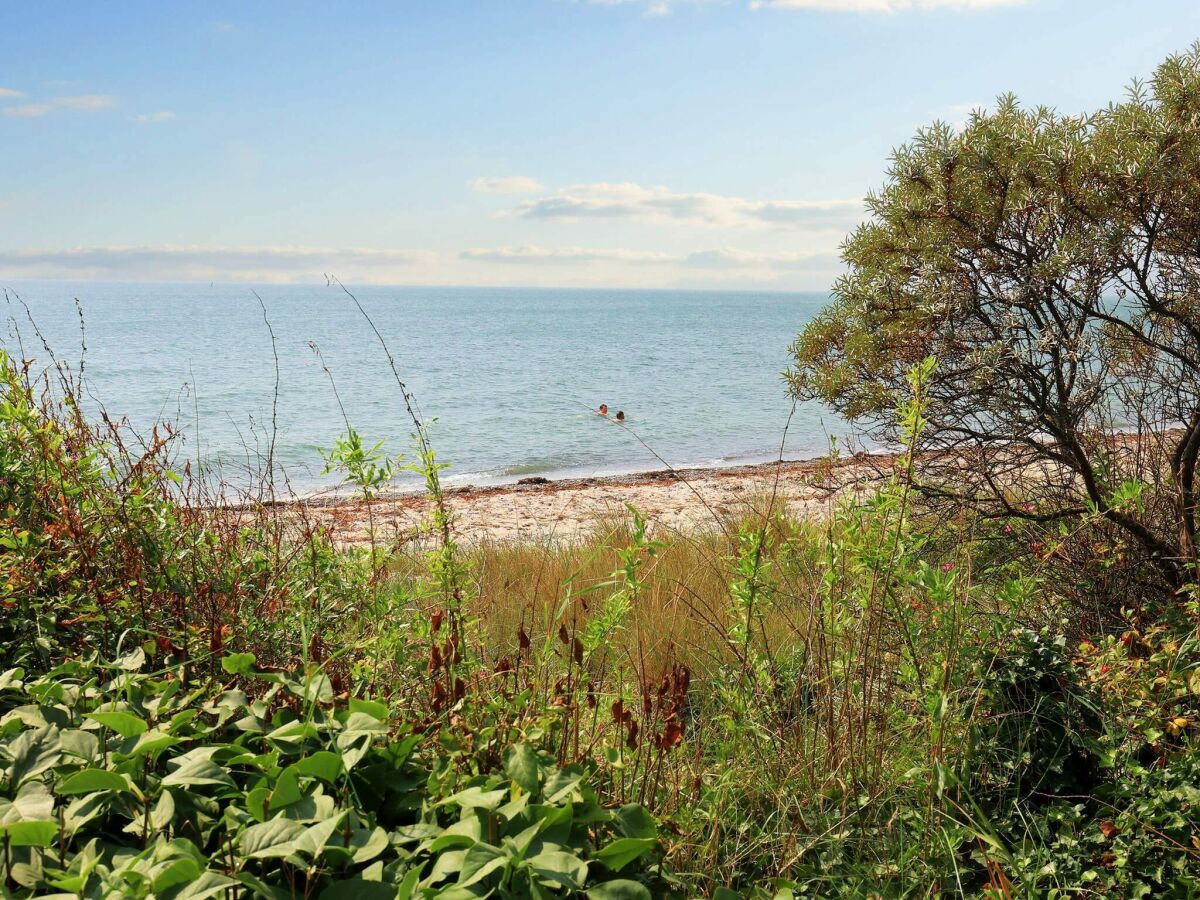 Holiday house Meerblick Charme in Gedser -- By Traum Ferienwohnungen - Outdoor photo 5
