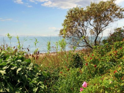 Holiday house Meerblick Charme in Gedser -- By Traum Ferienwohnungen - Outdoor photo 32