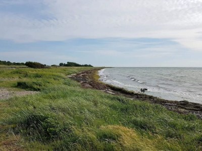 Holiday house Meerblick Charme in Gedser -- By Traum Ferienwohnungen - Outdoor photo 43