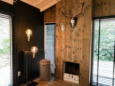 Holiday house Holiday Home in Rheezerveen with Sauna - Features photo 9