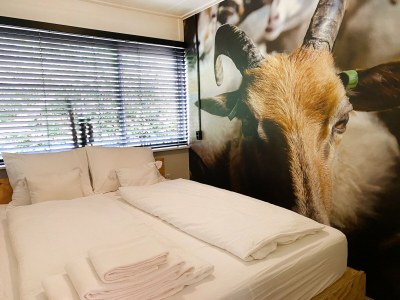 Holiday house Holiday Home in Rheezerveen with Sauna - Features photo 14