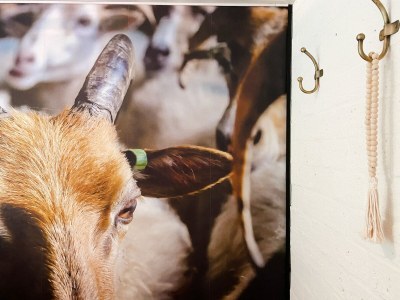 Holiday house Holiday Home in Rheezerveen with Sauna - Outdoor photo 20