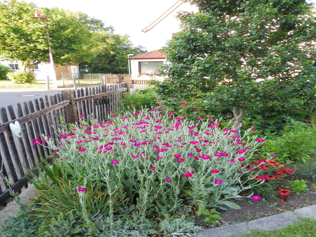 Apartment Apartment with terrace and pool in the garden - Outdoor photo 2