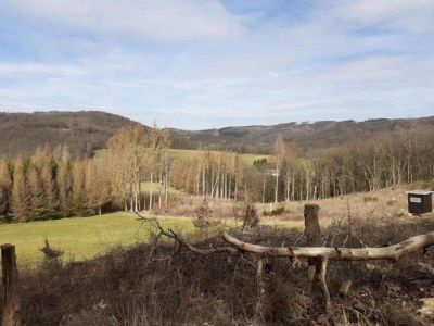Apartment Apartment with terrace and pool in the garden - Environment photo 31