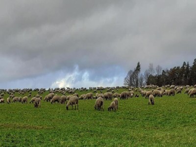 Apartment Apartment with terrace and pool in the garden - Environment photo 33